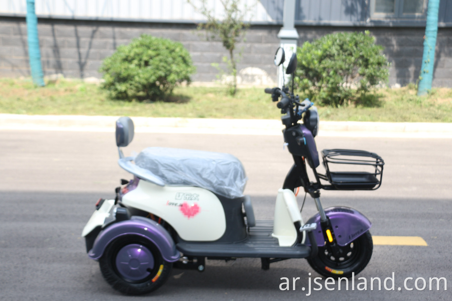 800W بطارية الليثيوم ثلاثية الدراجة ثلاثية 800W Lithium Battery Tricycle